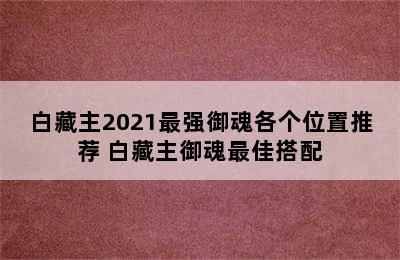 白藏主2021最强御魂各个位置推荐 白藏主御魂最佳搭配